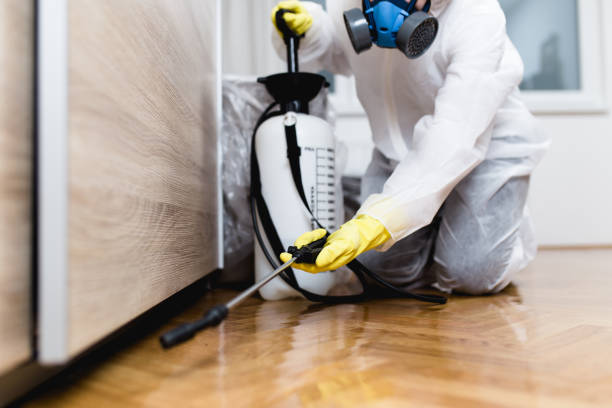 Best Mosquito Control Services  in Whitney, TX