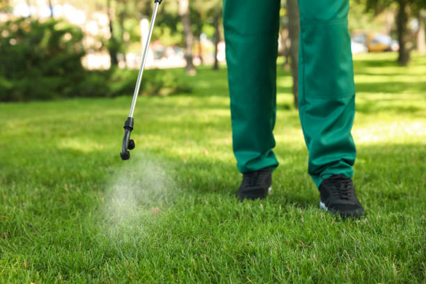 Best Residential Pest Control  in Whitney, TX