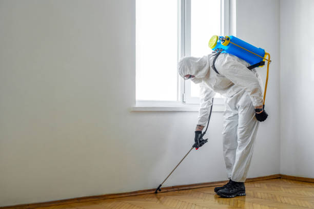 Best Wasp Removal Services  in Whitney, TX