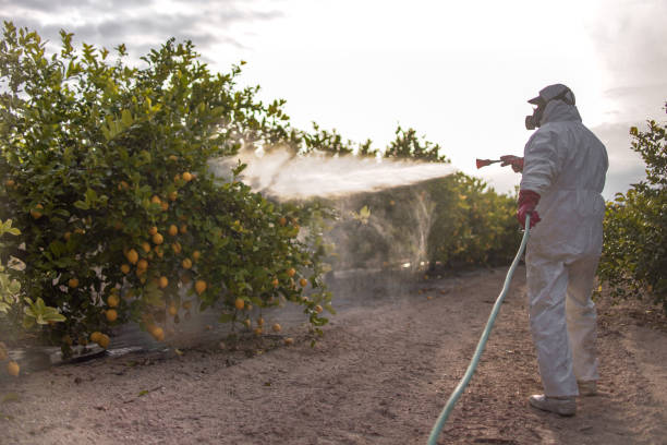 Best Best Pest Control Companies  in Whitney, TX