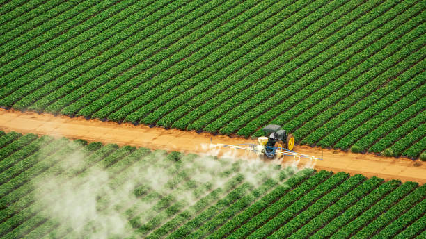 Pest Prevention Services in Whitney, TX