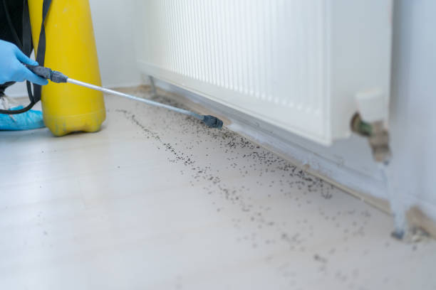Best Wildlife Control Services  in Whitney, TX