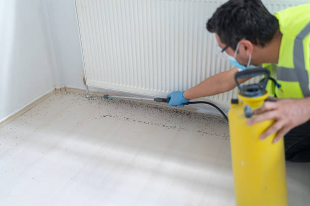 Best Residential Pest Control  in Whitney, TX