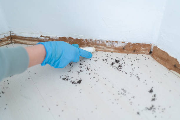 Best Emergency Pest Control  in Whitney, TX