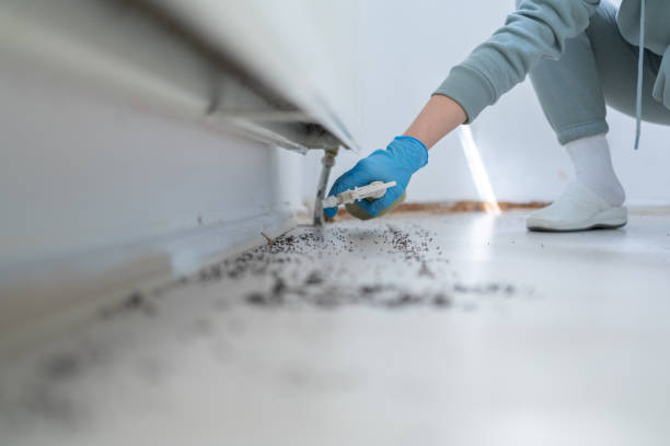 Best Emergency Pest Control  in Whitney, TX
