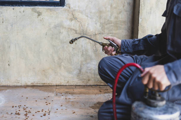 Best Pest Removal Services  in Whitney, TX